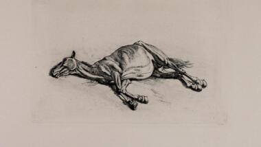 Totes Pferd, Zeichnung